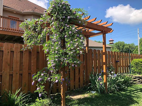 Wisteria covered lanai