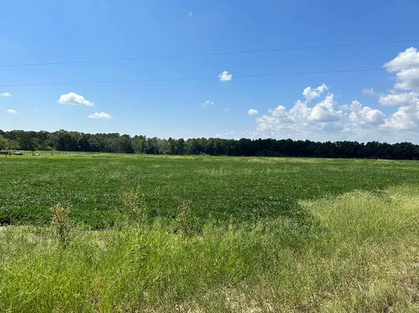 0 N County Road 49, Dothan, AL 36305