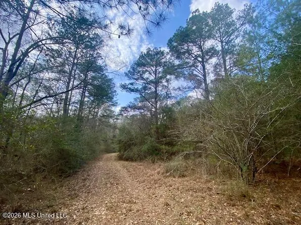 2190 Summit Holmesville Rd, McComb, MS 39648