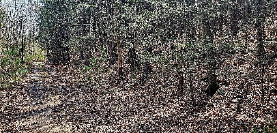 1st image of LOT 156 Merry Hill Rd