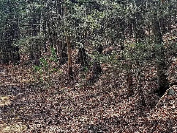 LOT 156 Merry Hill Rd, Bartonsville, PA 18321