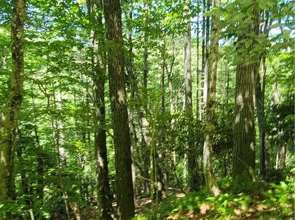 TBD River Front Ridge Drive, Jefferson, NC 28640