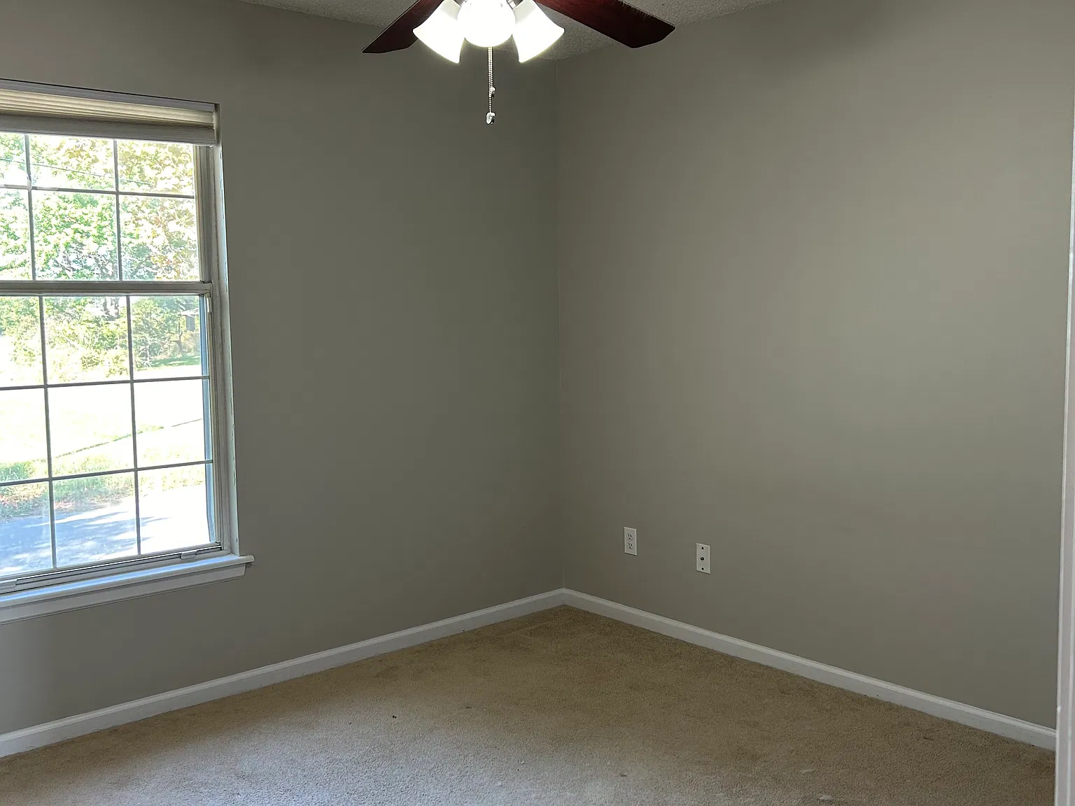 2 bed, 800 sqft, $1,100 — Photo 3