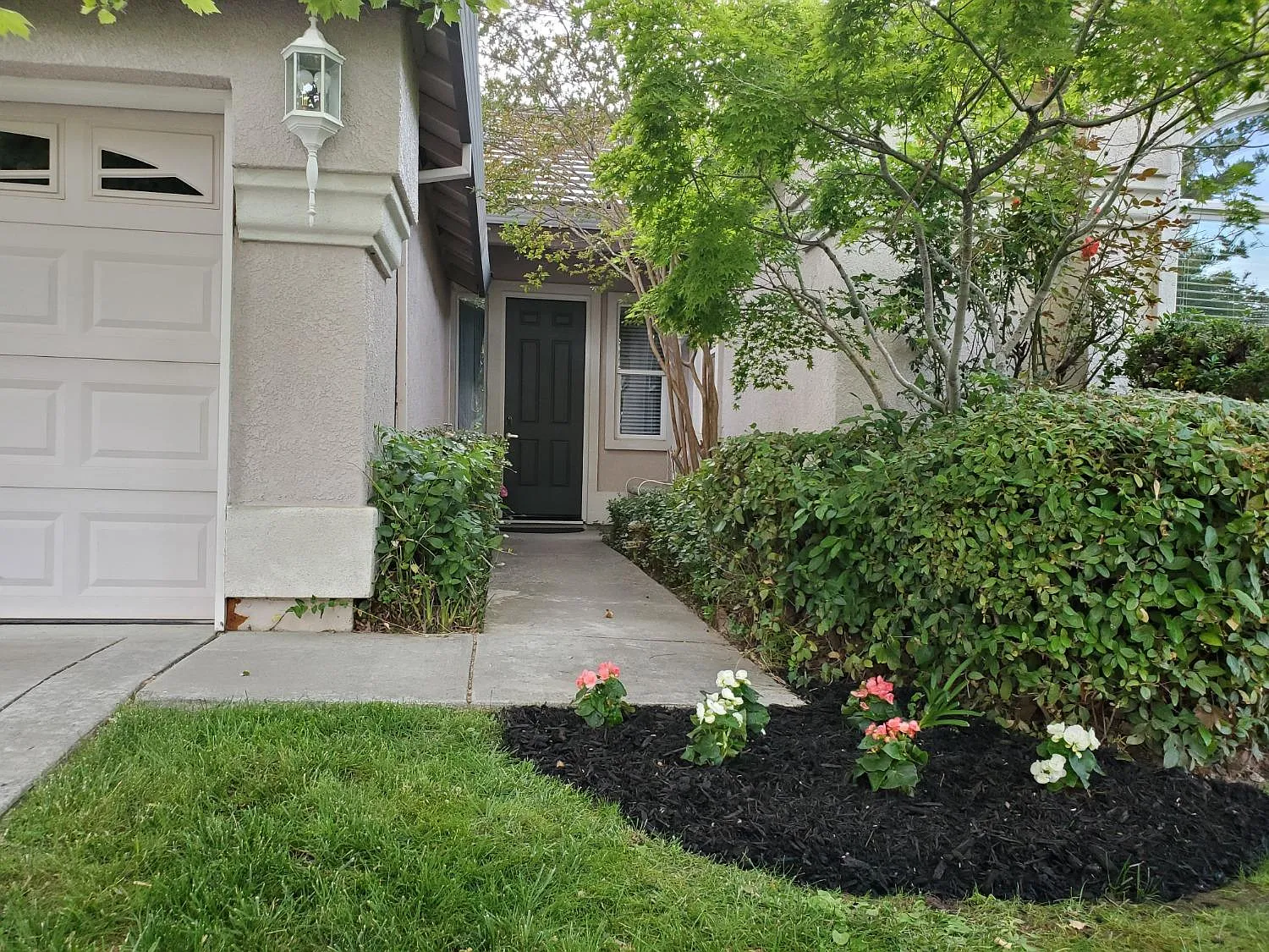 8213 Lewis Ave photo 1