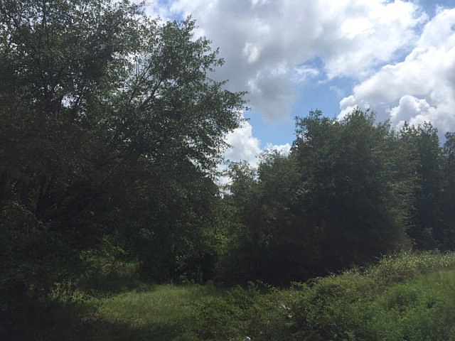2nd image of 0 Willis Foreman Rd.