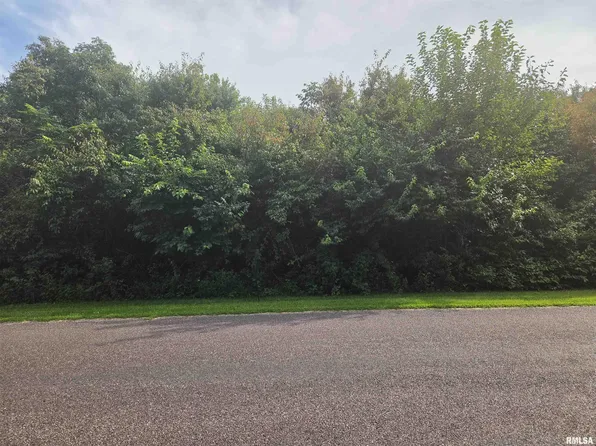 L58 Heritage Dr, Mackinaw, IL 61755