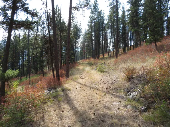 Nhn Rosco Rd, Alberton, MT 59820