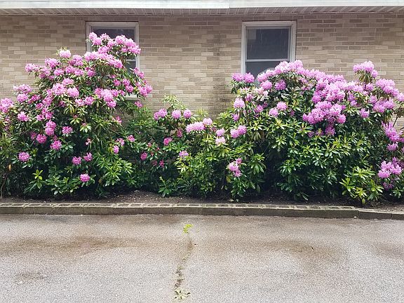 North side of home