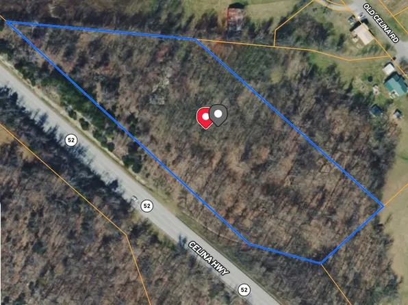 3263 Celina Hwy, Allons, TN 38541