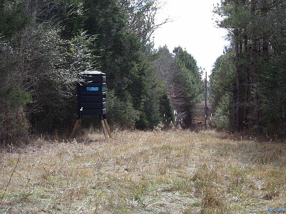 3rd image of 2603 & 2606 County Road 33
