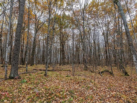 4th image of 78.41 Acres Jew Creek Road