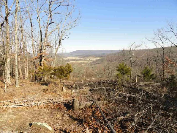 326 Cooper Point Dr, Mountain View, AR 72560