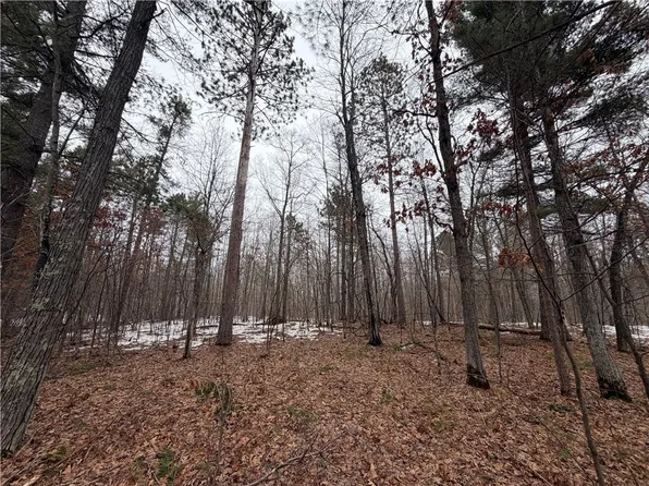 00000 Cty Rd H, Danbury, WI 54830