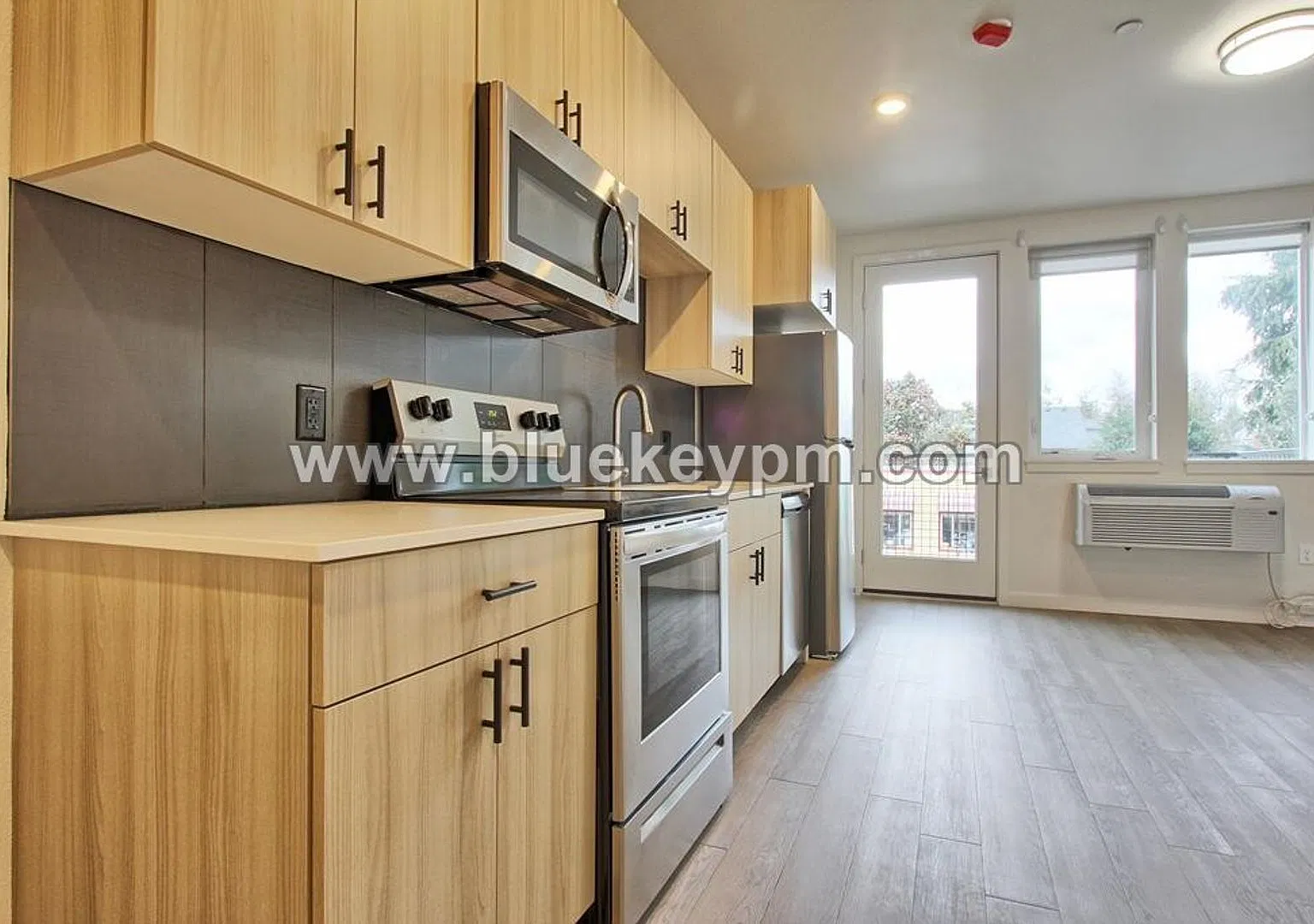 ORYA1515 — Photo 4