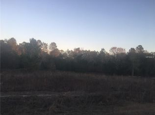 1168 Carlton St, Spring Hill, FL 34609