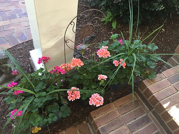 Covered porch garden 