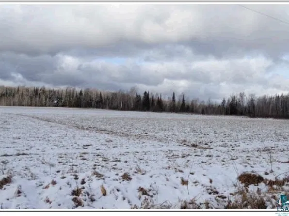 TBD Willow Rd, Zim, MN 55738