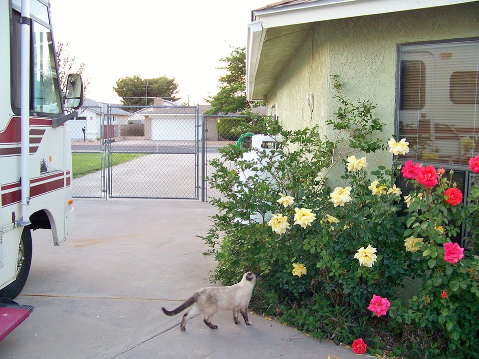 Drive Through Back View