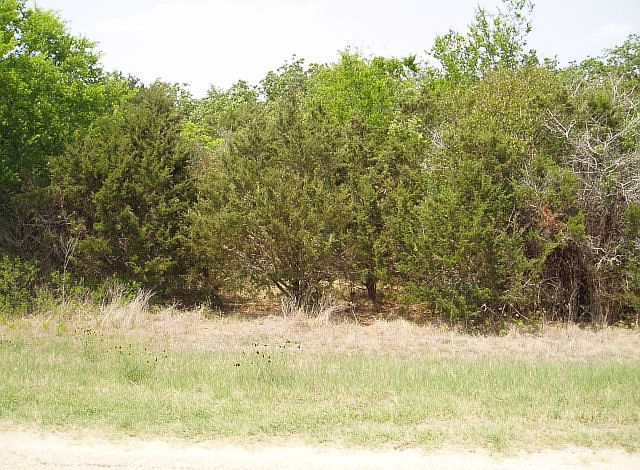 1st image of 21 Verde Park Blvd