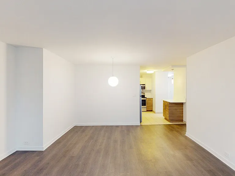 Dining/Living room