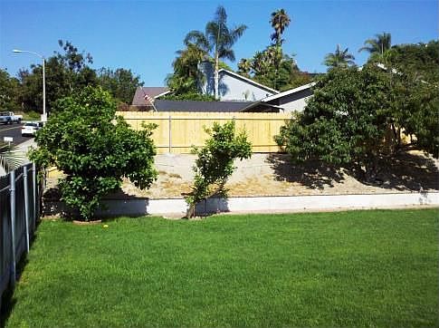 Back Yard left