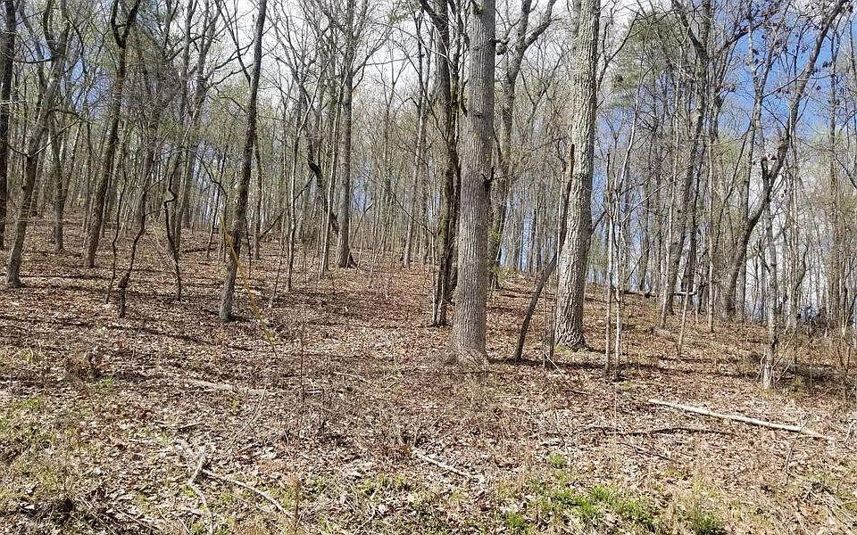 1st image of 843 Spruce Willow & Maple