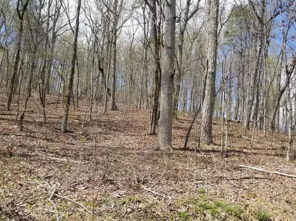 843 Spruce Willow & Maple, Spring City, TN 37381