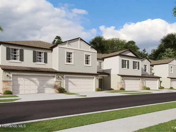 17744 Nectar Flume Dr, Land O Lakes, FL 34638