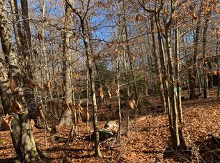 112 Rising Sun Ct, Pocono Lake, PA 18347