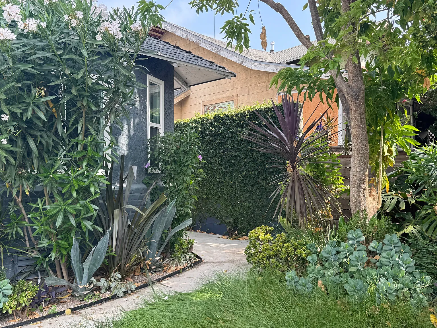 2 bed, 1000 sqft, $3,500 — Photo 1
