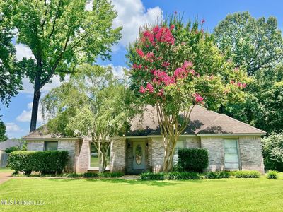 840 Knotty Pine Cv, Southaven, MS, 38671