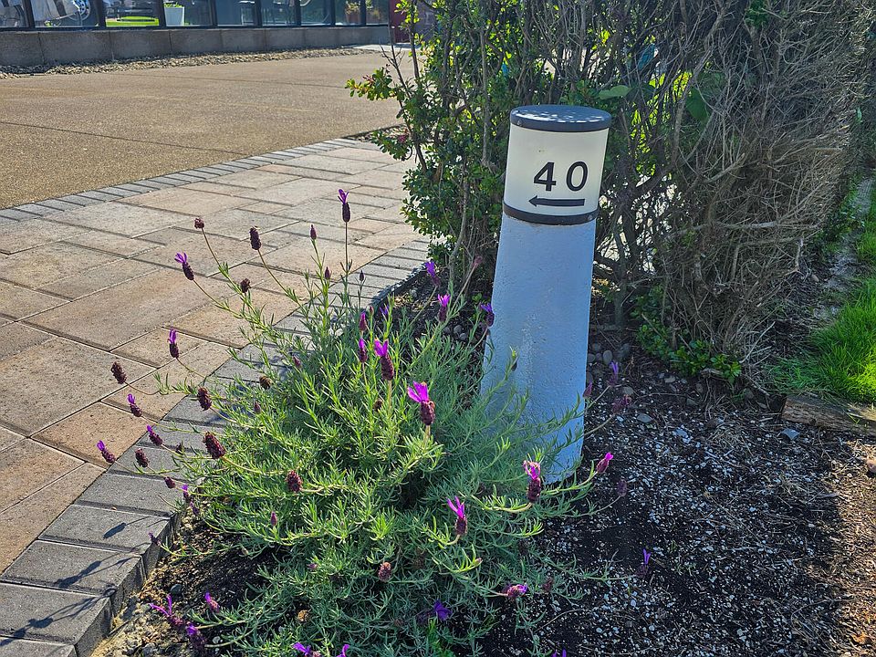 1st image of 6225 N Coast Hwy Lot 40