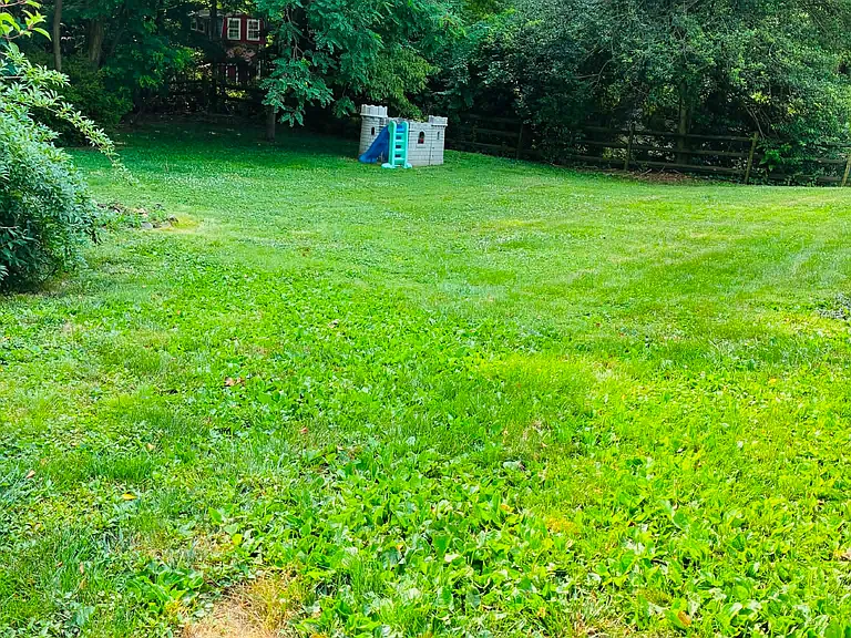 3 Lynn Dr — Photo 8