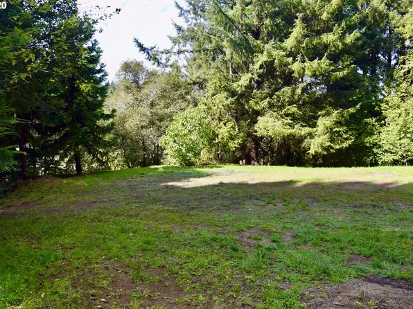 Greggs Creek Rd, Ophir, OR 97464