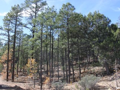 1970 S Pleasant View Dr, Show Low, AZ, 85901