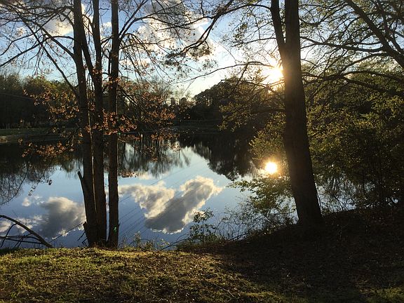 4th image of 7838 On The Pond Ln