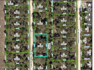 13398 Canyon Swallow Rd, Weeki Wachee, FL 34614