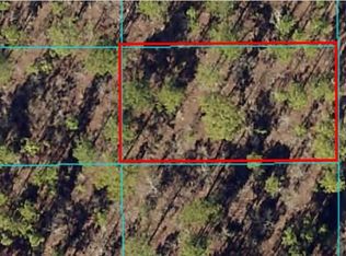 14 SW Alvarez Rd LOT 14, Dunnellon, FL 34431