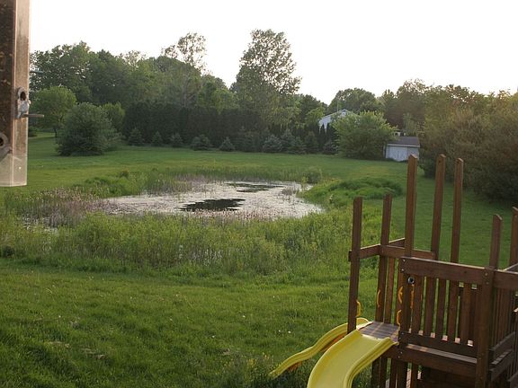 Rear Yard - Stocked pond - Play Frame