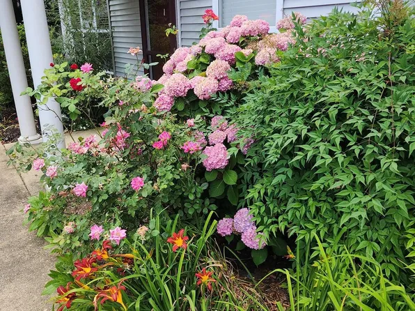 510 Brookletts Ave APT 603, Easton, MD 21601