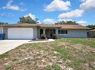 10435 Tassel St, Spring Hill, FL 34608