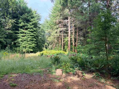 130 Pepperwood Dr, Crescent City, CA, 95531