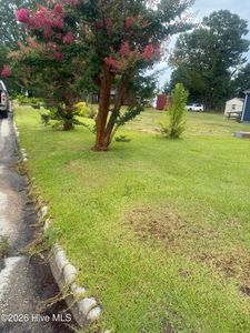 116 Peel Street, Williamston, NC, 27892