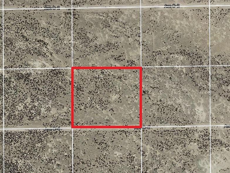 2nd image of C C Avenue 4
