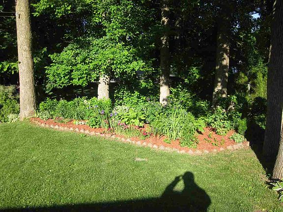 2nd image of 46 Prospect Ave
