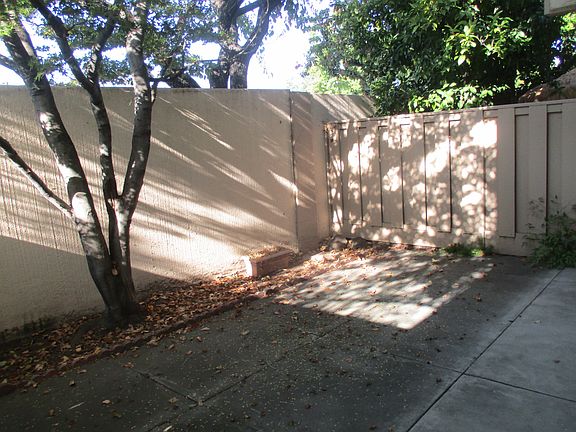 Backyard Patio