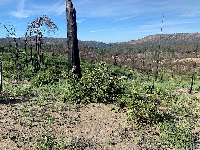 1st image of 13570 Green Forest Ln