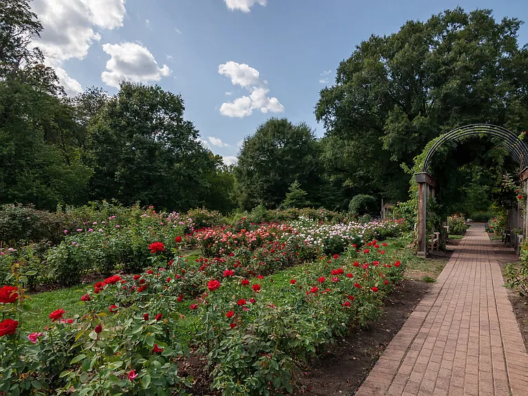 Stop and Smell the Roses at Bon Air Park