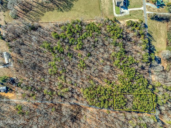 3rd image of County Road 260 Lot 4