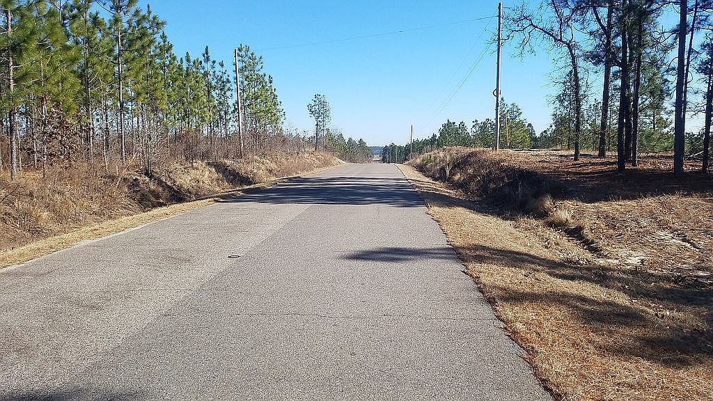 Old Chalk Bed Rd, Batesburg, SC 29006 Zillow